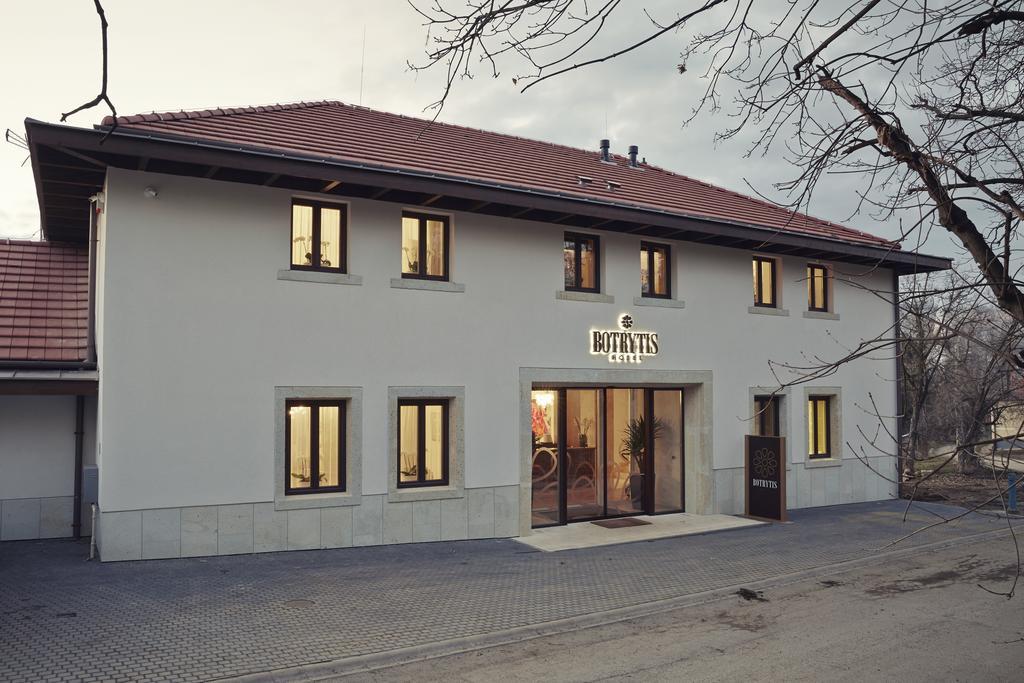 Botrytis Borhotel Мад Номер фото